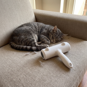 Batuffo appoggiato sul divano accanto a un gatto che dorme